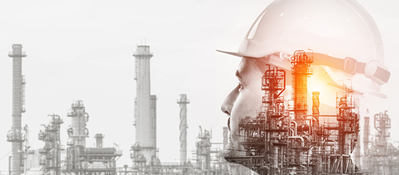 AMS Group of Companies