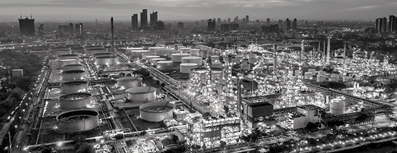 AMS Group of Companies